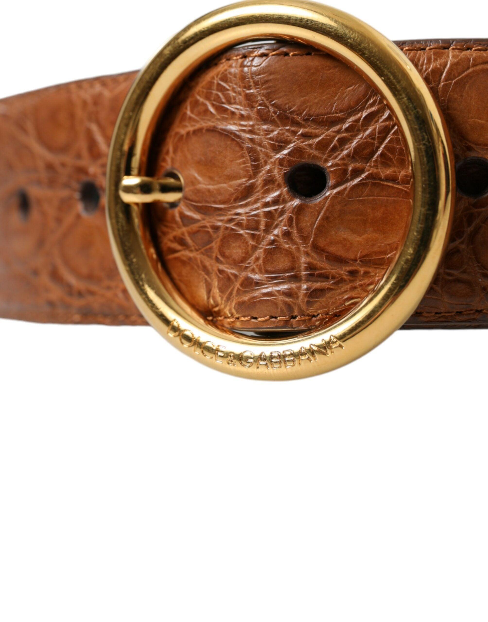 Dolce & Gabbana Elegant Exotic Leather Belt - Rich Brown-Modeoutlet