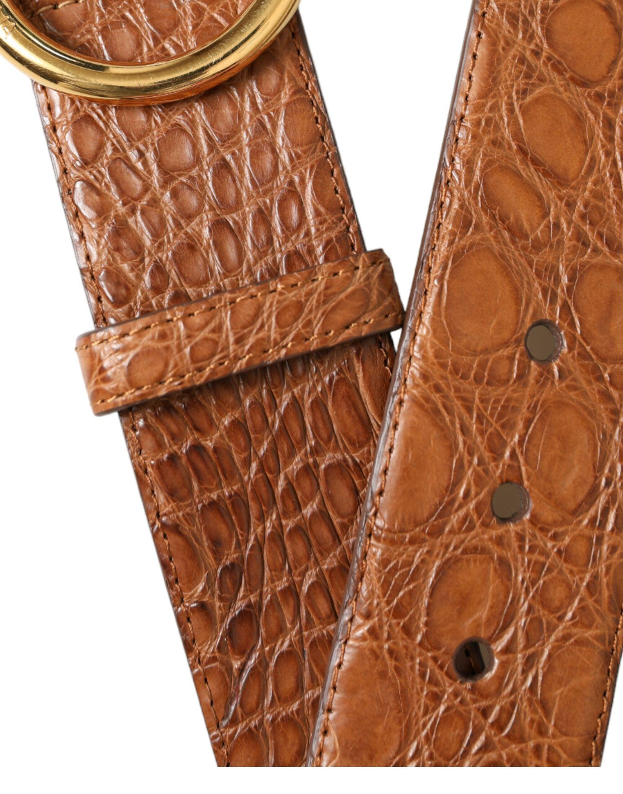 Dolce & Gabbana Elegant Exotic Leather Belt - Rich Brown-Modeoutlet